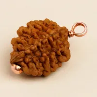 Рудракша Иша Двимукхи, Иша Лайф; Authentic Isha Dwimukhi Rudraksha bead, Isha Life